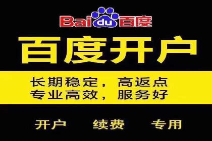 顶级SEM运营公司案例分析